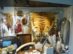 Tiergarten Schönbrunn am 15.05.2025